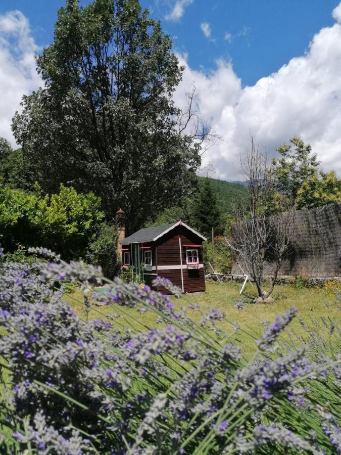 Hotel Rural El Marquesito Antigua Casa Carmela 阿雷纳斯德圣佩德罗 外观 照片