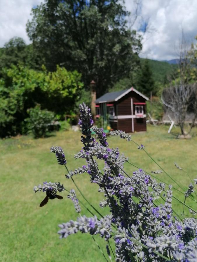 Hotel Rural El Marquesito Antigua Casa Carmela 阿雷纳斯德圣佩德罗 外观 照片