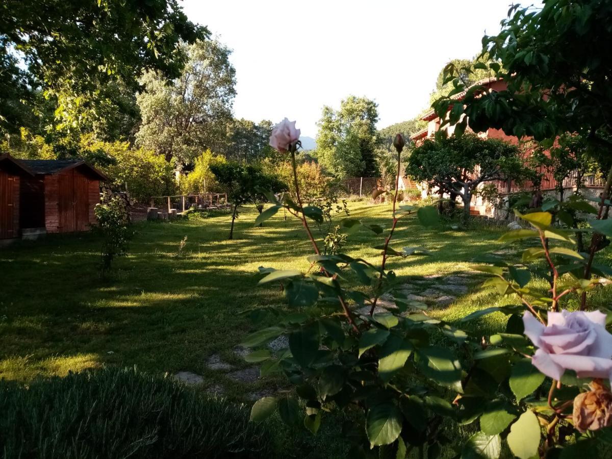 Hotel Rural El Marquesito Antigua Casa Carmela 阿雷纳斯德圣佩德罗 外观 照片